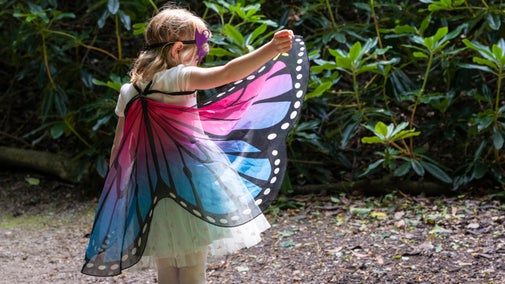 A young girl posing in a colourful butterfly wings costume and mask